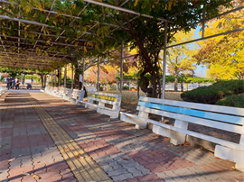 북촌미관개선사업 사진